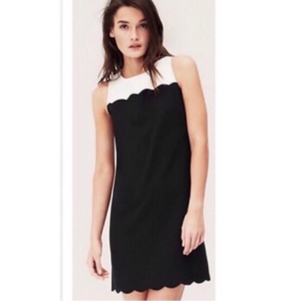 Jcrew Whimsical Black And White Scallop Sleeveless Shift Dress NWT Sz 10 - Picture 2 of 9